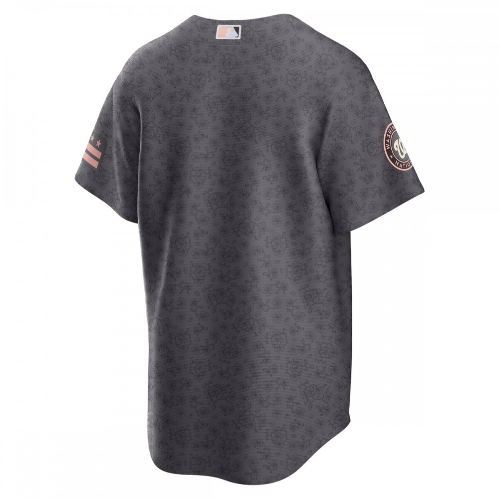 Washington Nationals 2022 City Connect Replica Jersey - Gray-Pro Kit Vault | Brand New 26/27 Sports Jerseys